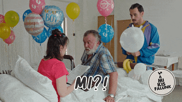 Mi What GIF by RTL Magyarország
