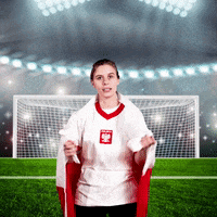 Robert Lewandowski Futbol GIF by World Cup