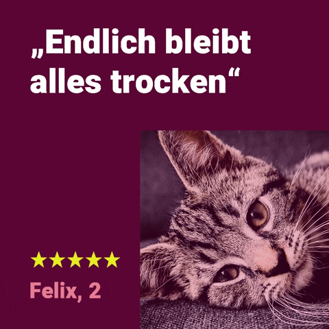 goodcatde GIF
