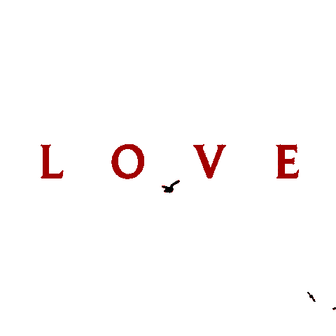 Crows Love Sticker by Lionsgate