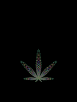 Colors Weed GIF
