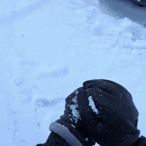 Snowball GIF