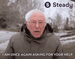 Bernie Sanders Money GIF by dreckige Pfoten