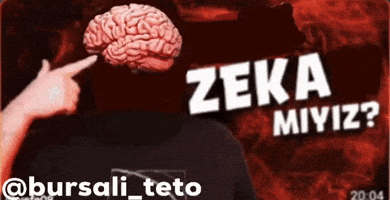 Zeka Evrim GIF