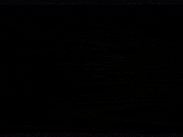 Vhs GIF