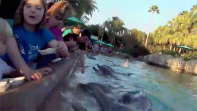 aquarium