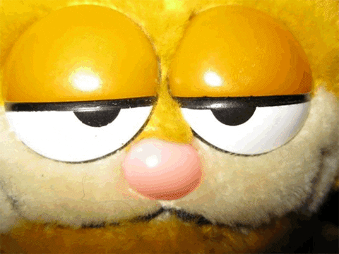 garfield
