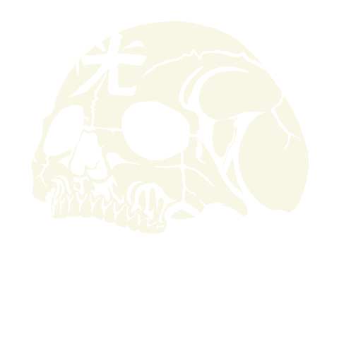 Riotkidz Sticker by Hikari Riders