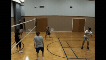 Volleyball GIF