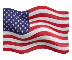 Green Card Visa Sticker by Visto Immigration