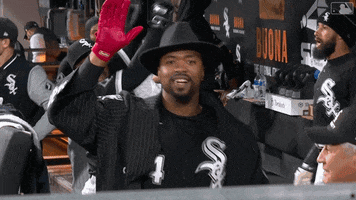 Home Run Sport GIF by Chicago White Sox
