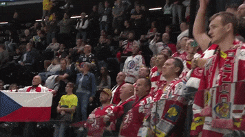 Happy Fans GIF by Champions Hockey League