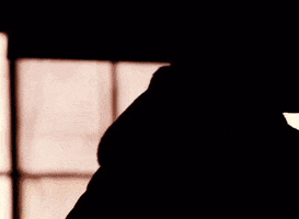 Fur GIF
