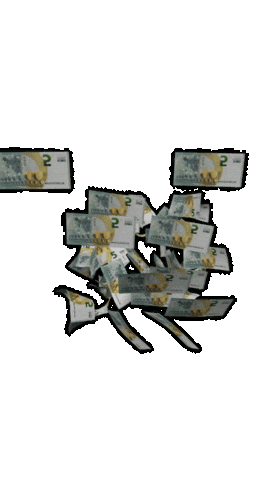 Money Rain Sticker