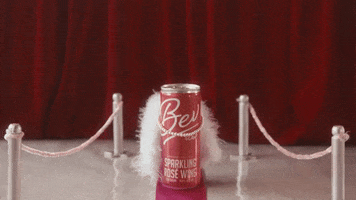 Sparkling Red Carpet GIF by Paxeros