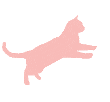 Cat Kitten Sticker by Catsmart Marketing