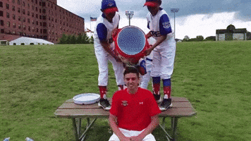 rjriccokaminski  GIF