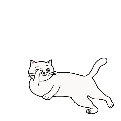 Cat Sticker