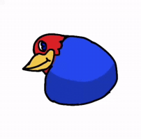 University Of Kansas GIF