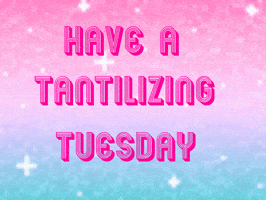 Tuesday Morning GIF