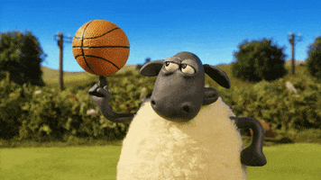 Shaun The Sheep Sport GIF by Aardman Animations