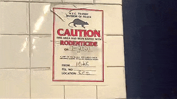 200.gif?cid=fc005b081c1e001196487f41e318645192309696f0ae7e52&rid=200.gif&ct=g