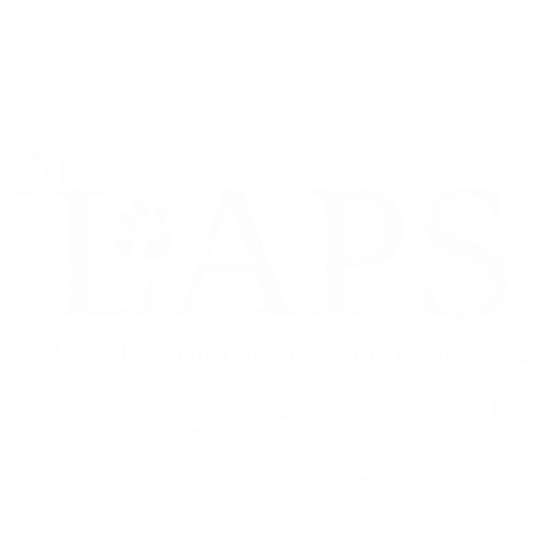Laps Sticker by KIRBY