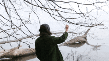Hudson River Waiting GIF by erica shires