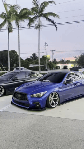 Q50 GIF