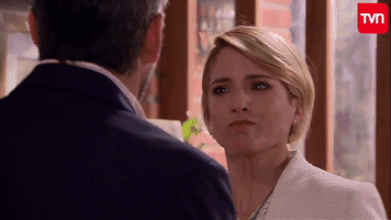rominavidalandrade tvn ema cachetada el camionero GIF