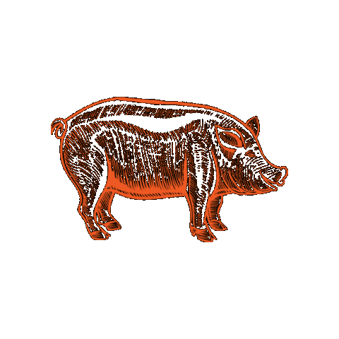 City of Kennesaw Sticker