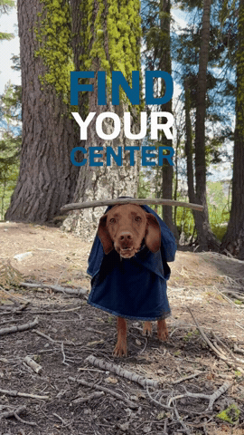 Inner Peace Dog GIF