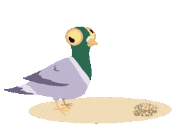 Illustration Sticker