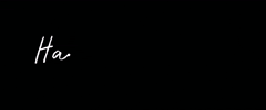 GIF by Lantica Media