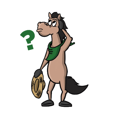 Confused Aparecida Sticker by Pousada Jovimar