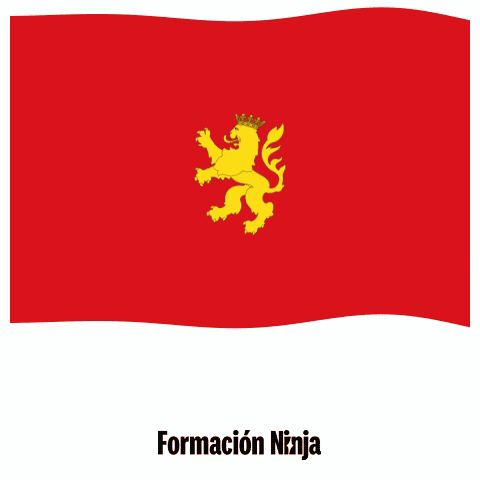 Spain Bandera GIF by Formación Ninja