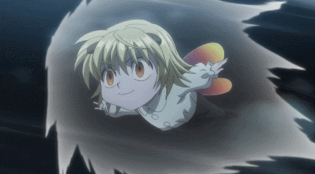 hunter x hunter