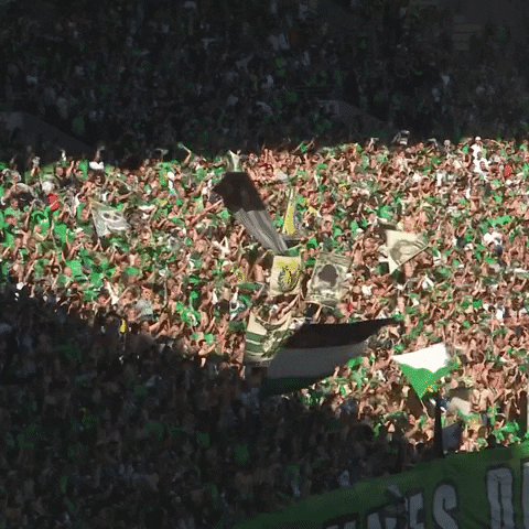 Geoffroy-Guichard Magic GIF by AS Saint-Étienne