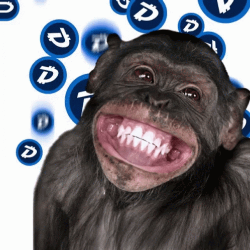 Crypto Smile GIF by DigiByte Memes