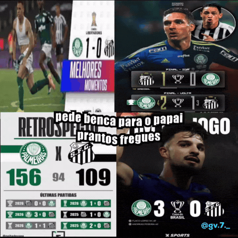 Copa Do Brasil Santos GIF