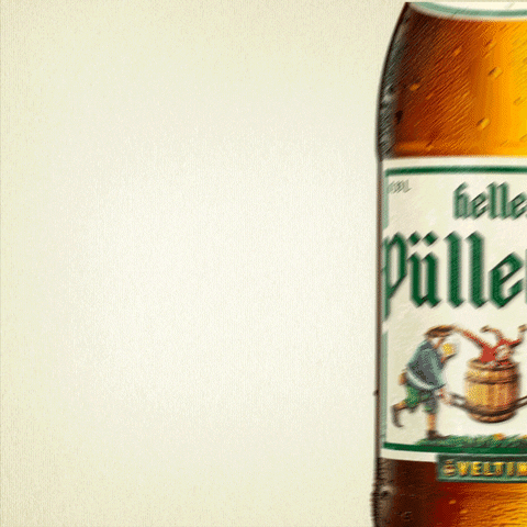 Beer Drinking GIF by Pülleken