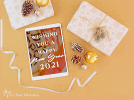 Happy New Year Hny2021 GIF by Tri Star Overseas