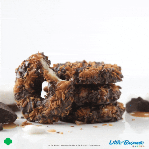 GIF by Little Brownie Bakers