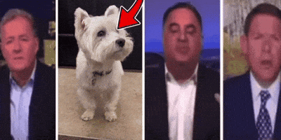 Who Is He The Team GIF