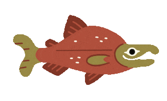 Fish Sticker