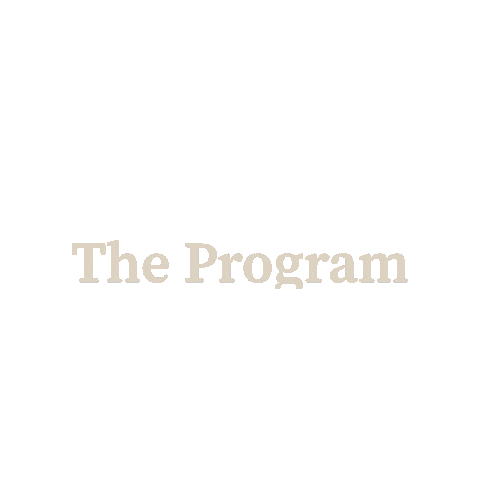 Theprogram Sticker by WanderFit