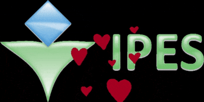 Amor GIF by Ipes