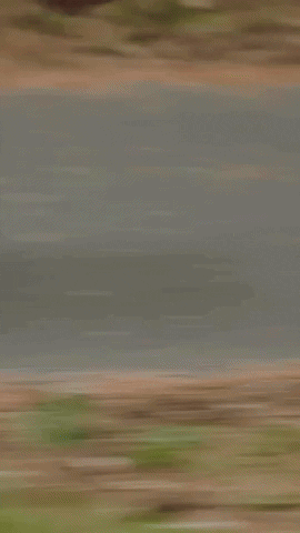 GIF by ROAD TO DESOLATION