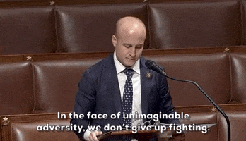 Max Rose GIF by GIPHY News