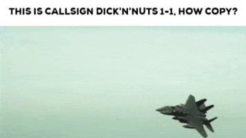 Meme GIF